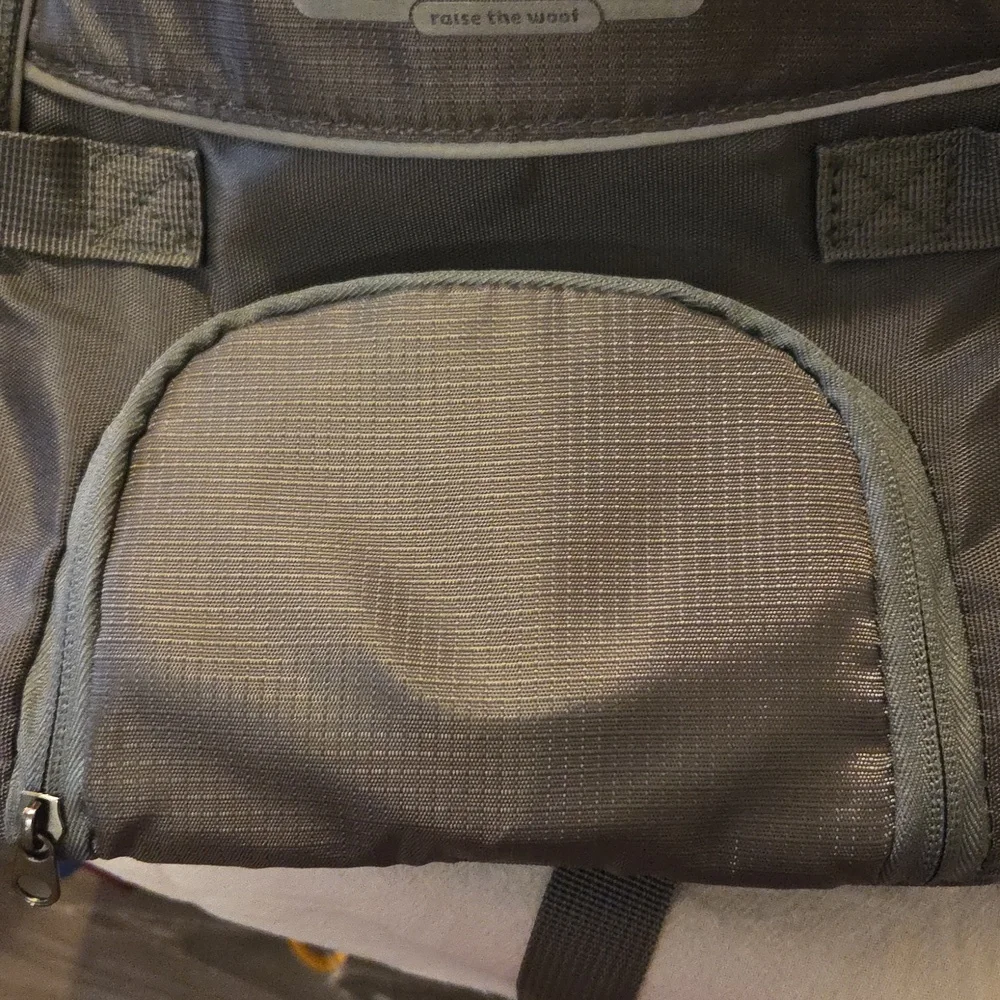Outward Hound Green Backpack for Pets